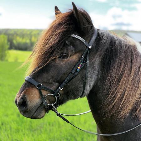 Hekla har ljusbrun ban och är mörkbrun. Hon står i profil med öronen spetsade och bakom henne ser man en grön äng