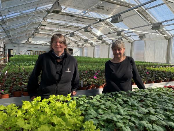 Vivi och Lena står i ett gigantiskt växthus omgivna av tusentals plantor i olika gröna nyanser