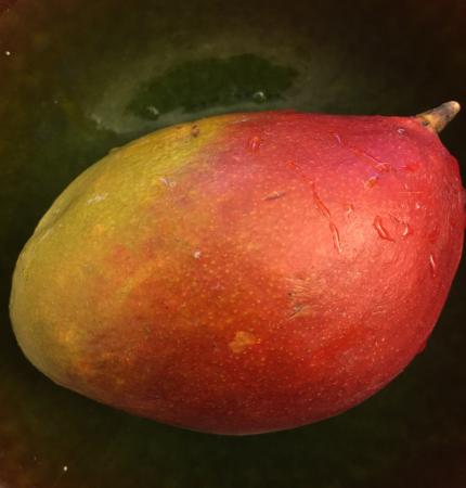 Närbild på en mango. Skalet är rött och gult.